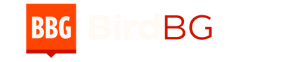 BirdBG